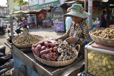 plenty of stock | angkor wat | 2019